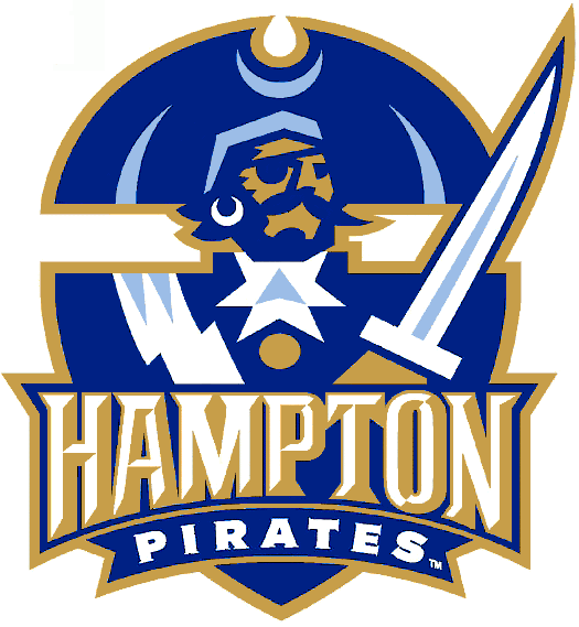 Hampton Pirates 2002-2006 Primary Logo DIY iron on transfer (heat transfer)
